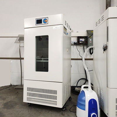 Good price Constant Environmental Test Chambers/High-Precision Temperature Heated Incubator online